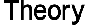 theory Logo