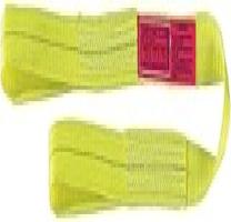 Web Sling  Type 3  Polyester  3inW  12 ft.L  - Compare price