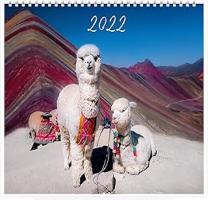Vibrant Peruvian Nature Calendar 2022 Monthly  Original Landscape Art Calendar   - Compare price